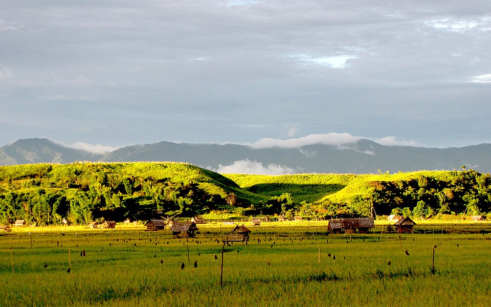 Agrowisata Kebun Kopi Arabika Mambi & Messawa